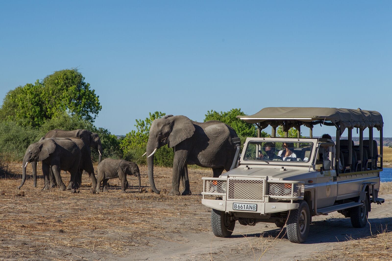 Chobe Game Lodge ZAMAG Tours and Safaris Agricultural Tour