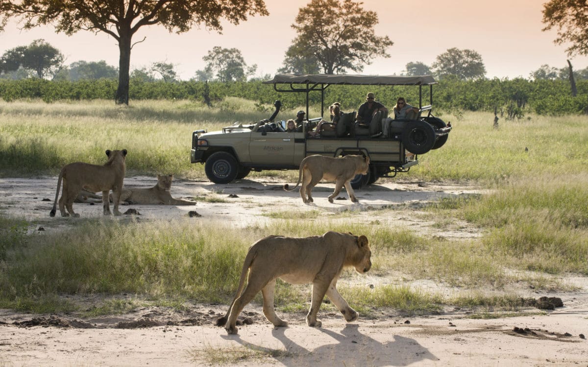 Somalisa-Camp-Hwange-National-Park-Zimbabwe-Luxury-Safari-Lodge-African-Bush-Camps-Game-Drive-2-1200x750